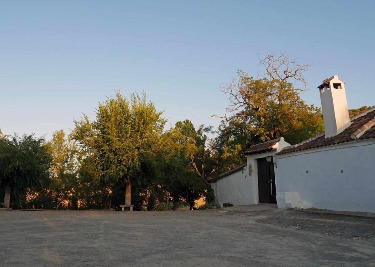 منزل الضيف ألكالا لا ريال  في Cortijo La Gineta المظهر الخارجي الصورة