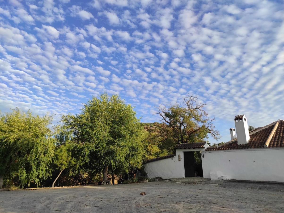 منزل الضيف ألكالا لا ريال  في Cortijo La Gineta المظهر الخارجي الصورة